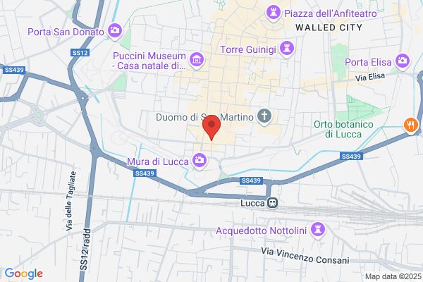 N.F Di Collodi F. & Buchignani N. snc