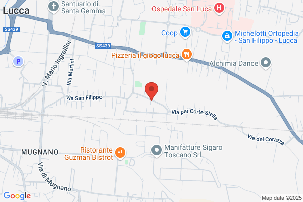Thesignlab