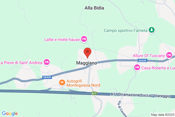 Scuole Pubbliche/Direzioni Didattiche