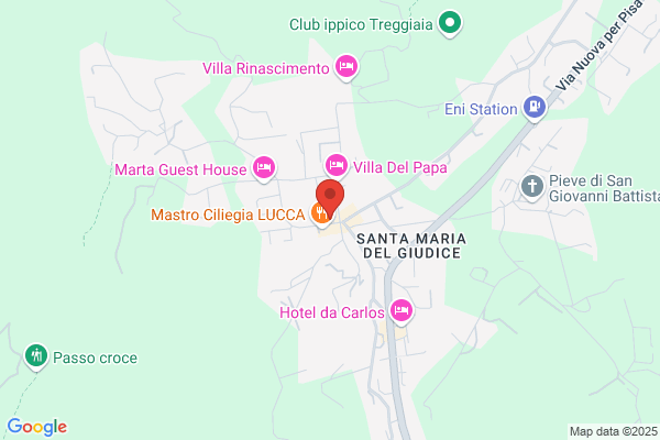 Scuole Pubbliche/Elementari