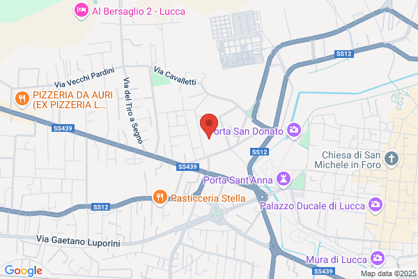 Scuole Pubbliche/Medie Superiori/Liceo Scientifico A. Vallisneri