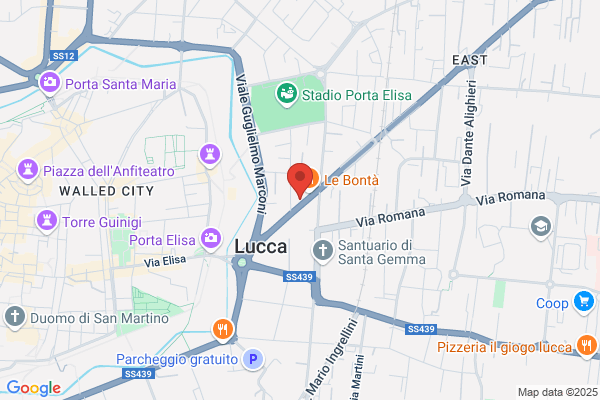 Reale Mutua Agenzia di Lucca Pfanner Dott. Alessandro