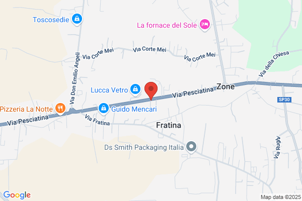 Frediani & Lencioni Spa