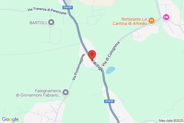 Ungaretti Auto (S.N.C.)