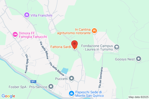 Gonnella Giulio