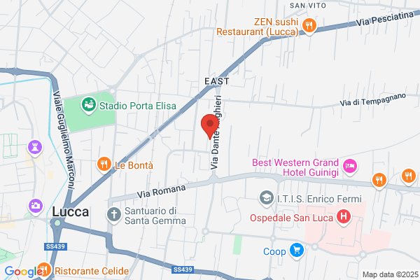 Hibit Lucca Srl