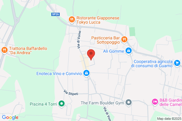 Faver Stefano (Dr.)