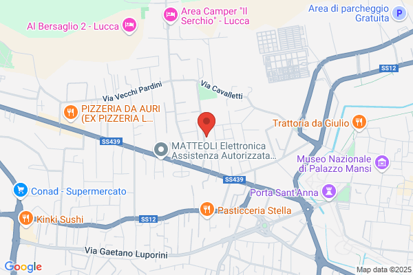 Piegaia marco (Ing.)
