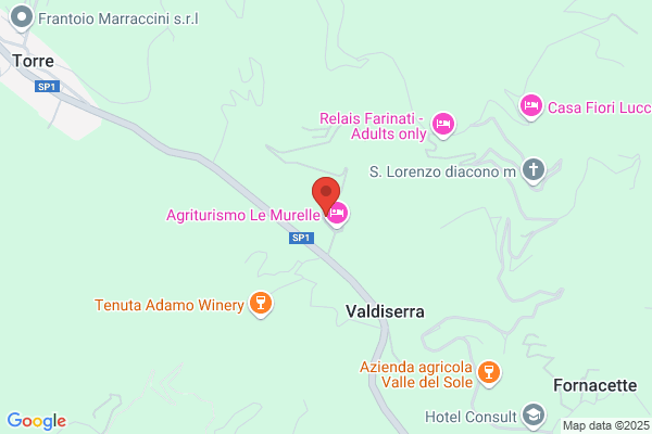 Terre Del Sillabo Di Giovan Pio Moretti