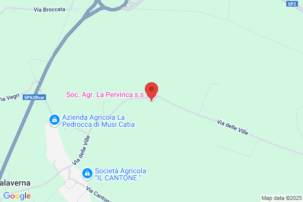 Pervinca (S.N.C.)