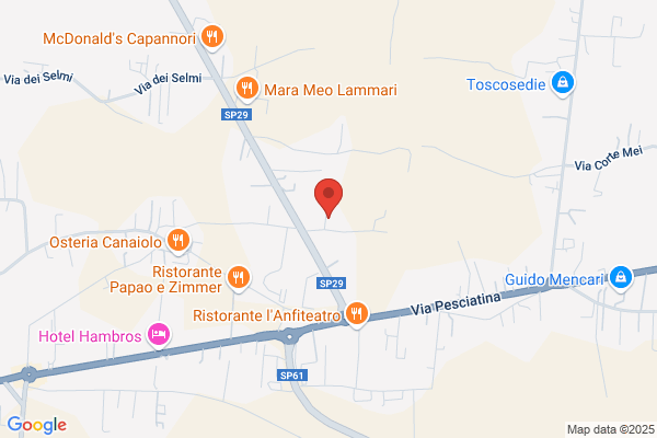 Viviani massimo (Ing.)
