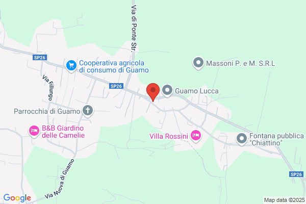 Ristorante all'Olivo