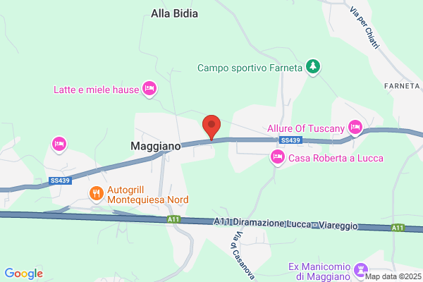 Falegnameria Andreuccetti & C. (S.N.C.)