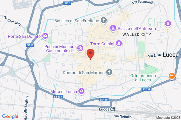 Gelateria Veneta & C. (S.N.C.)