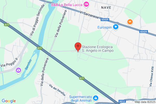 Logiacco angelo