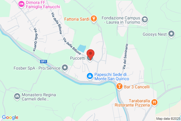Puccetti (S.P.A.)