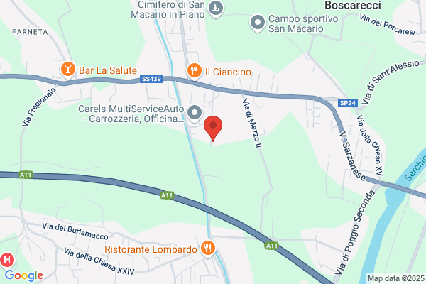 Officina Dami Di Dami Giuliano