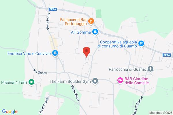 Menegazzo Srl