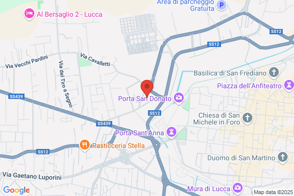 Puccini vinicio (Dr.)