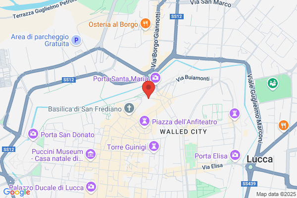Pinelli antonio (Geom.)