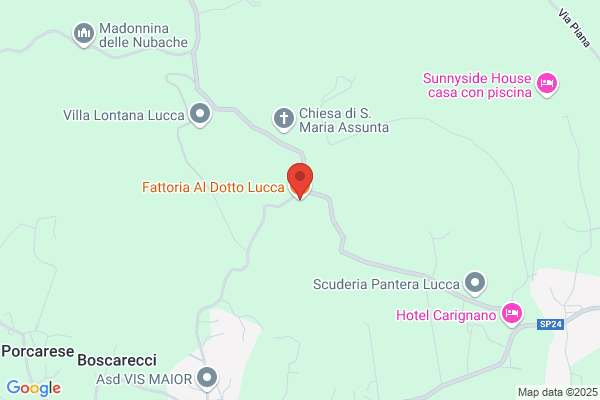 I.L.C. Del Dotto Srl