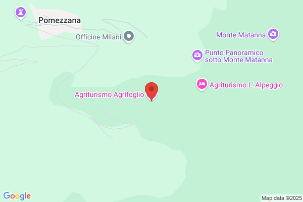 L Agrifoglio