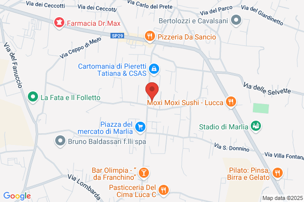Filo E Filo (S.N.C.)