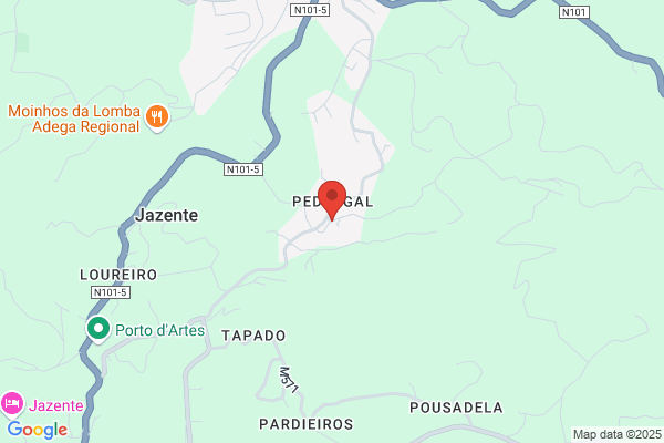 Pinheiro De Magalhaes paolo