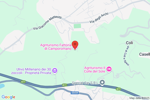 Fattorie Di Toscana Srl
