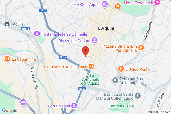 Rezzano gino
