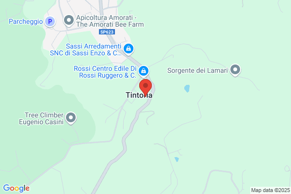 Frael Sistemi Sas