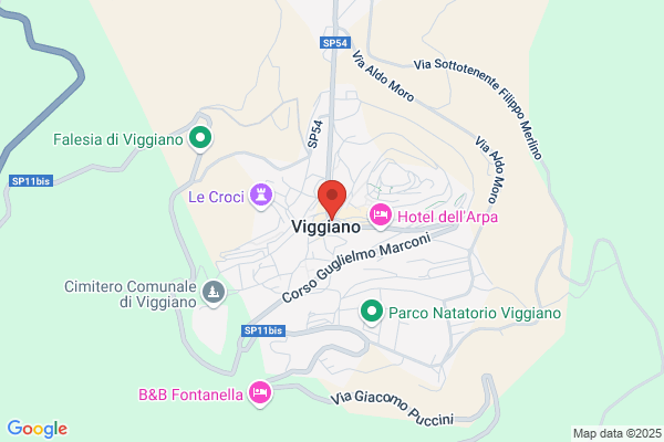 Vigiano vincenza