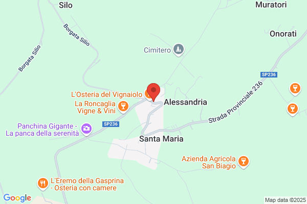 Ogliengo barbara (Geom.)