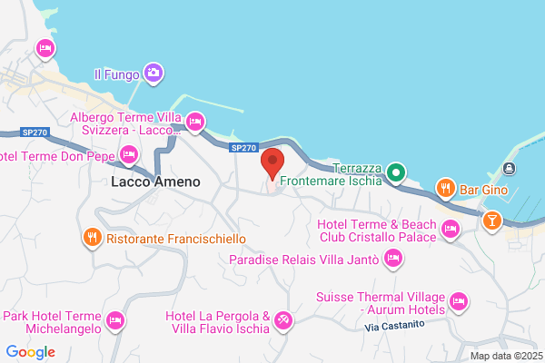 Ischia Flash Srl
