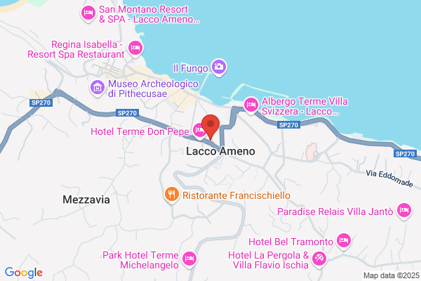 Ischia Surgel Food Srl