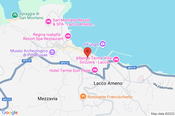 Monaco vincenza
