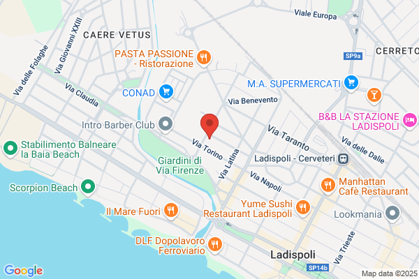 Conseil Sas Di Paolocci Michele
