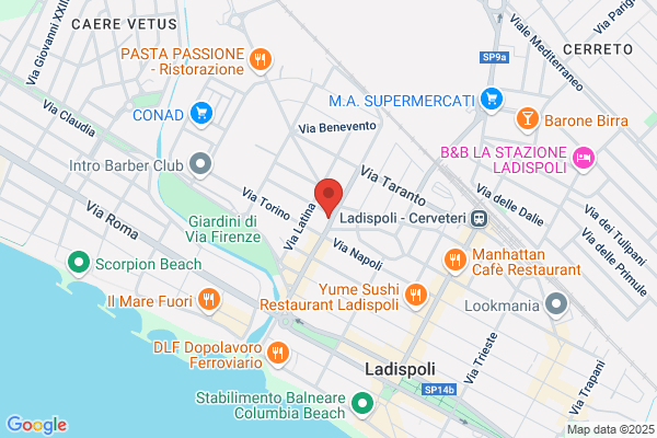 Viedelmondo Srl