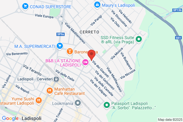 Palmieri maria