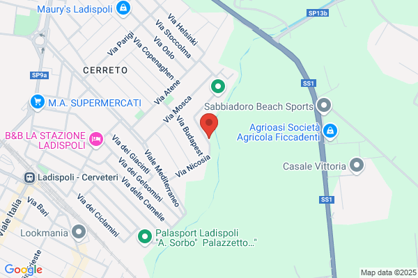 Massimi Aurelio & Figli S.R.L.