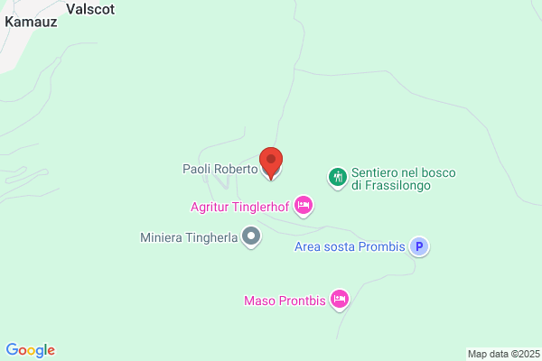 Paoli francesco