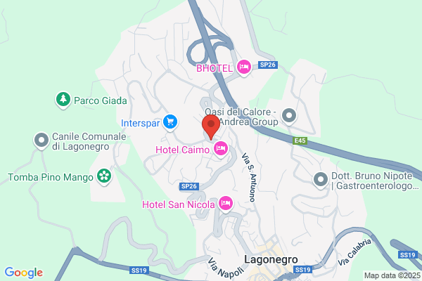 Paggi gerardo (Dr.)