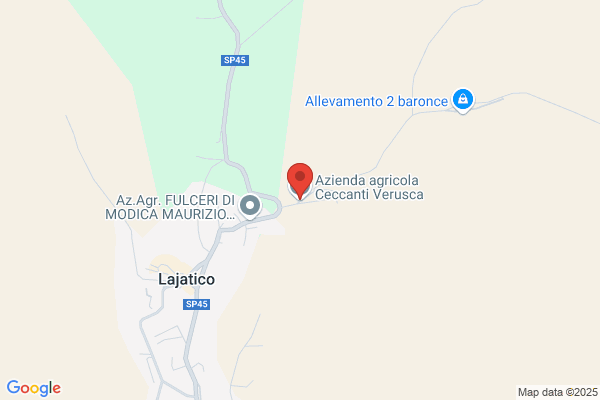 Foschetti Vincenzo