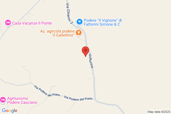 Gambicorti Lamberto