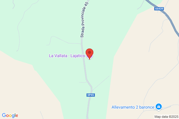 Sollazzi franco