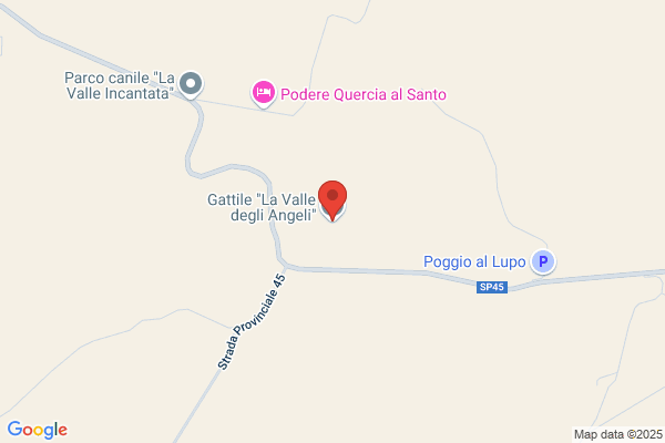 Gatti,luca