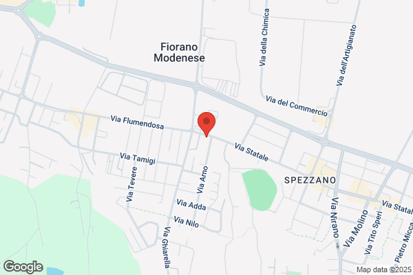 Manfredini giuseppe