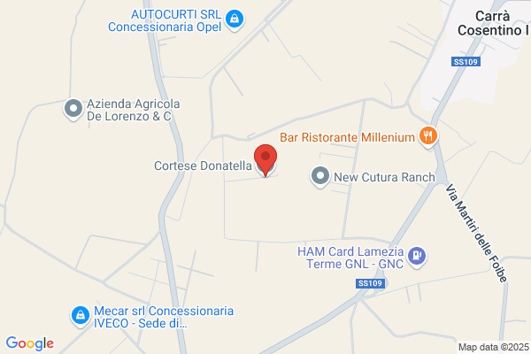 Torchia vincenzo (Arch.)