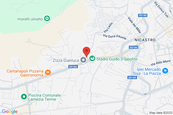 Schipani antonio