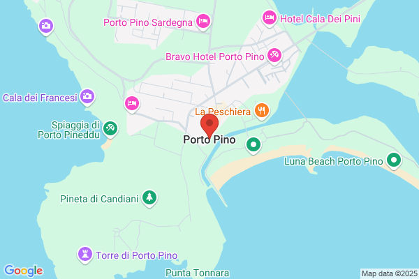 Proto pino